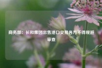 商务部：长和集团出售港口交易各方不得规避审查