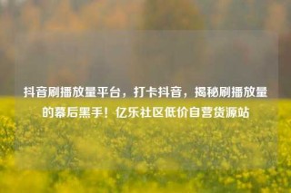 抖音刷播放量平台，打卡抖音，揭秘刷播放量的幕后黑手！亿乐社区低价自营货源站