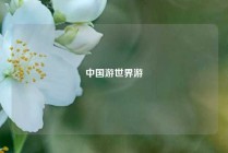 中国游世界游