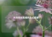 抖音涨粉直播间怎么搭建