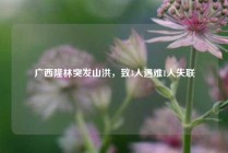 广西隆林突发山洪，致3人遇难1人失联