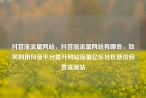 抖音涨流量网站，抖音涨流量网站有哪些，如何利用抖音平台提升网站流量亿乐社区低价自营货源站