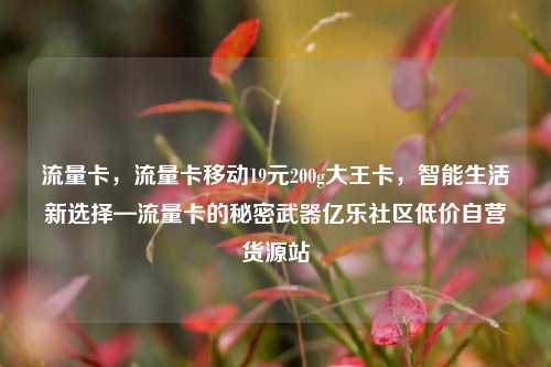 流量卡，流量卡移动19元200g大王卡，智能生活新选择—流量卡的秘密武器亿乐社区低价自营货源站  第1张