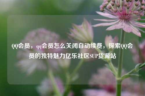 QQ会员，qq会员怎么关闭自动续费，探索QQ会员的独特魅力亿乐社区SUP货源站  第1张