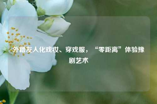 外籍友人化戏妆、穿戏服，“零距离”体验豫剧艺术  第1张