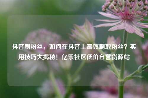 抖音刷粉丝，如何在抖音上高效刷取粉丝？实用技巧大揭秘！亿乐社区低价自营货源站  第1张