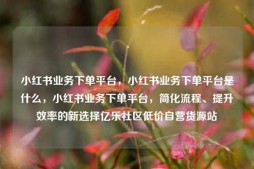 小红书业务下单平台，小红书业务下单平台是什么	，小红书业务下单平台，简化流程	、提升效率的新选择亿乐社区低价自营货源站  第1张