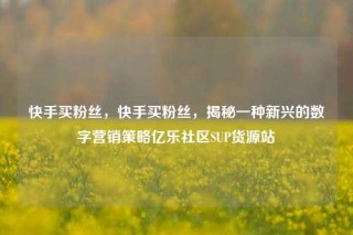 快手买粉丝，快手买粉丝，揭秘一种新兴的数字营销策略亿乐社区SUP货源站
