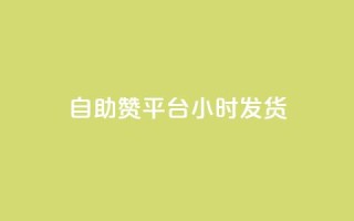 自助赞平台24小时发货,vip会员货源批发网站超低价 - 快手评论自助平台自定义评论 - qq超级会员软件下载