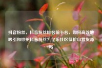 抖音粉丝，抖音粉丝排名前十名，如何高效地吸引和维护抖音粉丝？亿乐社区低价自营货源站
