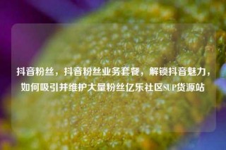 抖音粉丝，抖音粉丝业务套餐，解锁抖音魅力，如何吸引并维护大量粉丝亿乐社区SUP货源站