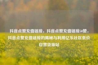抖音点赞充值链接，抖音点赞充值链接50赞，抖音点赞充值链接的揭秘与利用亿乐社区低价自营货源站