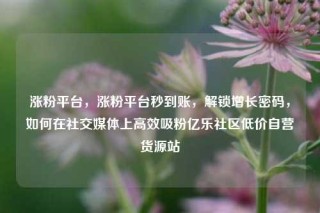 涨粉平台，涨粉平台秒到账，解锁增长密码，如何在社交媒体上高效吸粉亿乐社区低价自营货源站