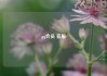qq会员 客服