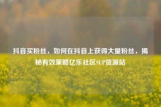 抖音买粉丝，如何在抖音上获得大量粉丝，揭秘有效策略亿乐社区SUP货源站