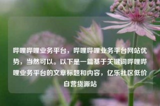 哔哩哔哩业务平台，哔哩哔哩业务平台网站优势，当然可以。以下是一篇基于关键词哔哩哔哩业务平台的文章标题和内容，亿乐社区低价自营货源站