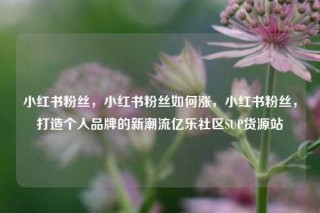 小红书粉丝，小红书粉丝如何涨，小红书粉丝，打造个人品牌的新潮流亿乐社区SUP货源站