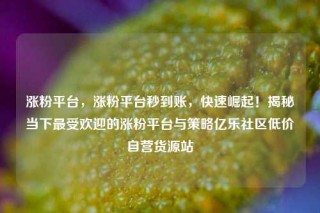 涨粉平台，涨粉平台秒到账，快速崛起！揭秘当下最受欢迎的涨粉平台与策略亿乐社区低价自营货源站