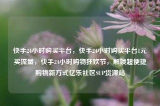 快手24小时购买平台，快手24小时购买平台1元买流量，快手24小时购物狂欢节，解锁超便捷购物新方式亿乐社区SUP货源站