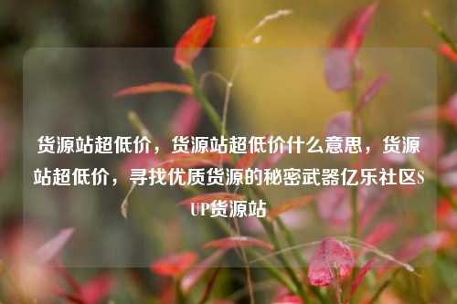 货源站超低价，货源站超低价什么意思	，货源站超低价，寻找优质货源的秘密武器亿乐社区SUP货源站  第1张