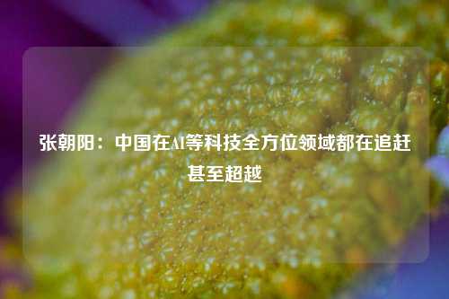张朝阳：中国在AI等科技全方位领域都在追赶甚至超越  第1张