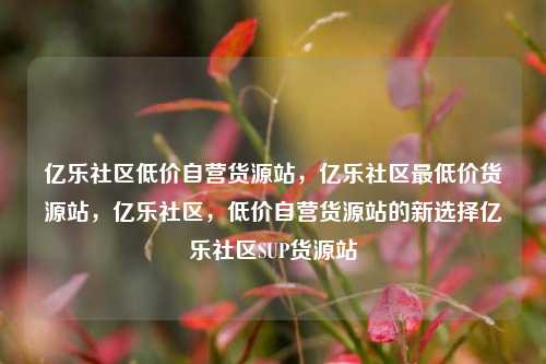 亿乐社区低价自营货源站，亿乐社区最低价货源站，亿乐社区	，低价自营货源站的新选择亿乐社区SUP货源站  第1张