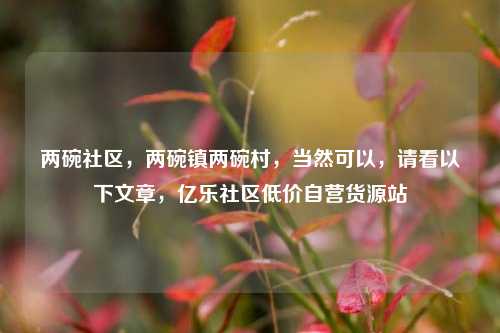 两碗社区，两碗镇两碗村，当然可以	，请看以下文章，亿乐社区低价自营货源站  第1张