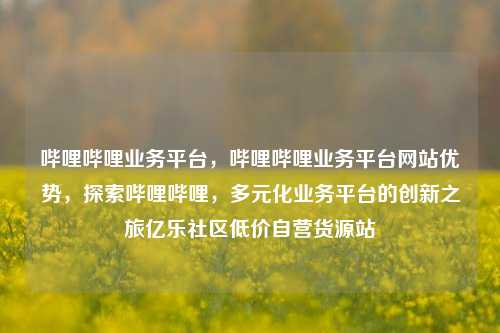 哔哩哔哩业务平台，哔哩哔哩业务平台网站优势，探索哔哩哔哩，多元化业务平台的创新之旅亿乐社区低价自营货源站  第1张