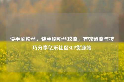快手刷粉丝	，快手刷粉丝攻略，有效策略与技巧分享亿乐社区SUP货源站  第1张