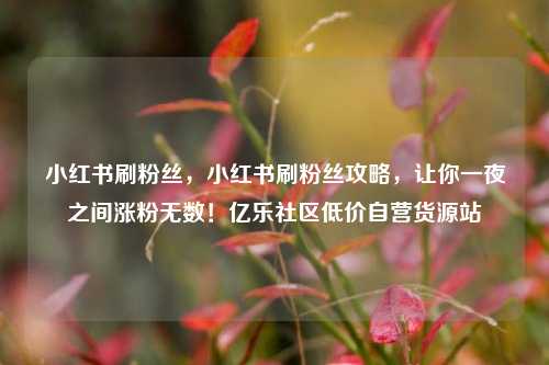 小红书刷粉丝，小红书刷粉丝攻略	，让你一夜之间涨粉无数！亿乐社区低价自营货源站  第1张