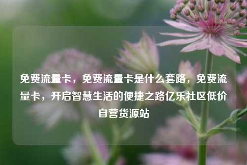 免费流量卡，免费流量卡是什么套路	，免费流量卡，开启智慧生活的便捷之路亿乐社区低价自营货源站  第1张