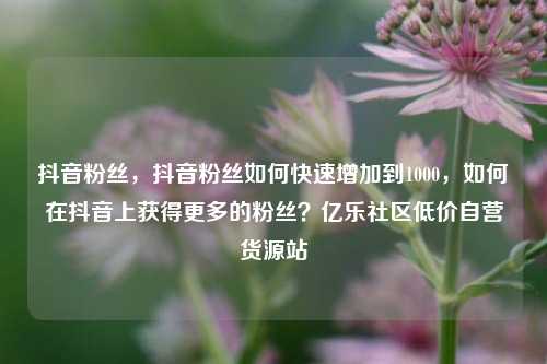 抖音粉丝，抖音粉丝如何快速增加到1000	，如何在抖音上获得更多的粉丝？亿乐社区低价自营货源站  第1张