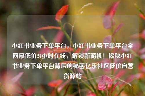 小红书业务下单平台	，小红书业务下单平台全网最低价24小时在线，解锁新商机！揭秘小红书业务下单平台背后的秘密亿乐社区低价自营货源站  第1张