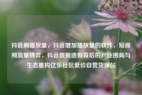 抖音刷播放量	，抖音增加播放量的软件，短视频流量博弈，抖音数据造假背后的产业困局与生态重构亿乐社区低价自营货源站  第1张