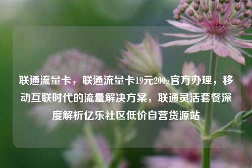 联通流量卡，联通流量卡19元200g官方办理	，移动互联时代的流量解决方案，联通灵活套餐深度解析亿乐社区低价自营货源站  第1张